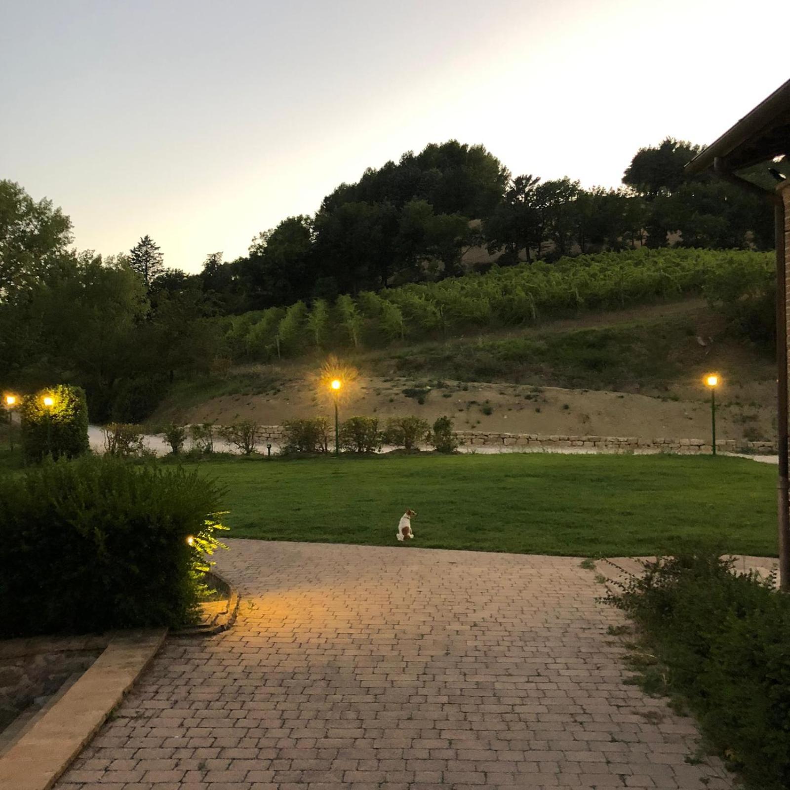 Aparthotel Re Artu Assisi Country Lifestyle Exterior foto